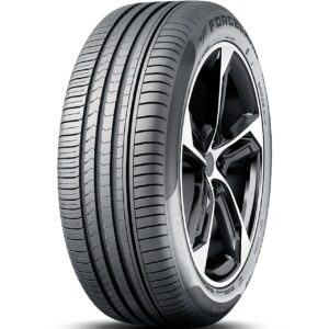 FORCELAND VITALITY F22 V1 de tamaño grande 205/65R16 95H VITALITY F22 FORCELAND
