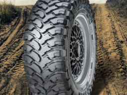 {{brizy_dc_image_alt entityId=